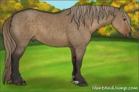 Horse Color:Liver Red Dun Brindle 