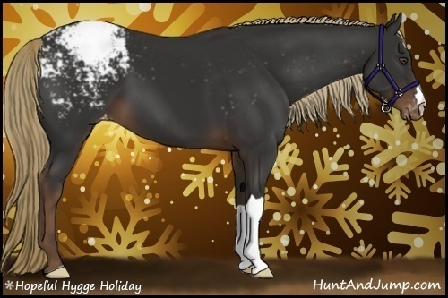 Horse Color:Liver Chestnut Appaloosa