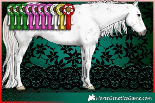 Horse Color:Gray Silver Bay Sabino 
