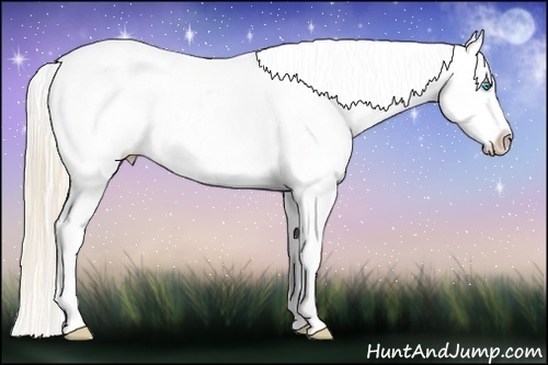 Horse Color:Perlino Roan Sabino Varnish 