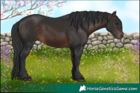 Horse Color:Brown 