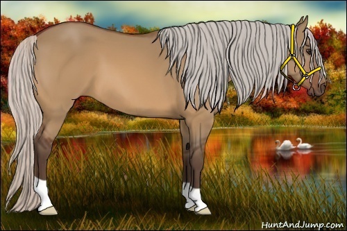 Horse Color:Silver Bay Dun 