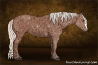 Horse Color:Silver Bay Ice 