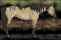 Horse Color:Liver Red Dun 
