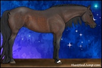 Horse Color:Bay Roan