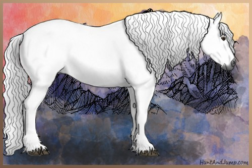 Horse Color:Gray Red Roan 