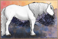 Horse Color:Gray Red Roan 