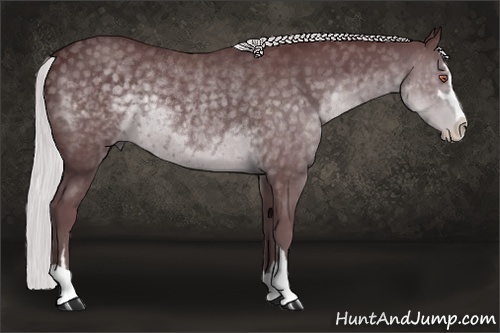 Horse Color:Chocolate Silver Black Chinchilla Sabino Rabicano 