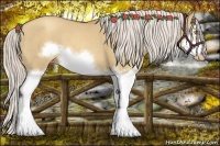 Horse Color:Silver Classic Champagne Dun Splash Frame 