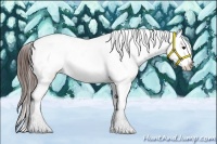 Horse Color:Brown Appaloosa