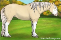 Horse Color:Silver Classic Champagne Dun Splash Frame 