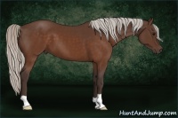 Horse Color:Silver Brown 