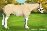 Horse Color:Silver Classic Champagne Dun Splash Frame 
