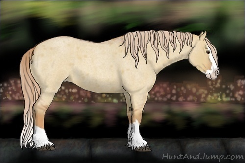 Horse Color:Red Dun Roan Splash