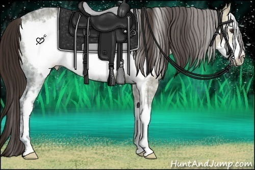 Horse Color:White Spotted Liver Red Dun Ice Frame 