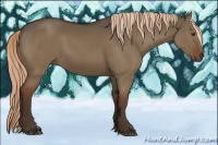 Horse Color:Liver Red Dun Rabicano 