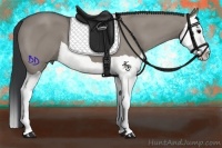 Horse Color:Grullo Splash 