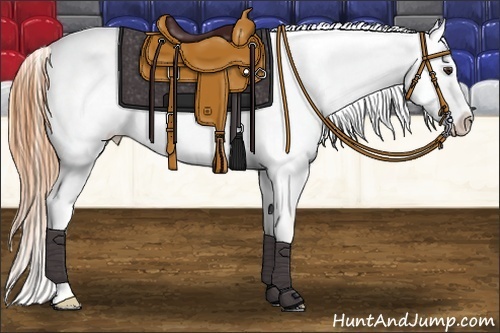 Horse Color:Buckskin Dun Blanket 
