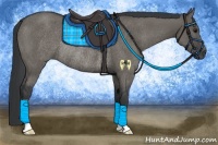 Horse Color:Grullo Rabicano 