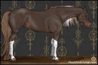 Horse Color:Liver Chestnut Tobiano Rabicano