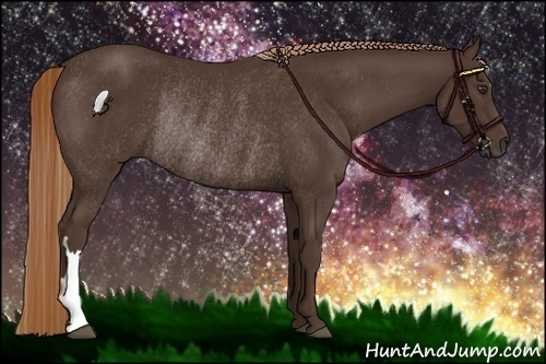 Horse Color:Liver Chestnut Rabicano 