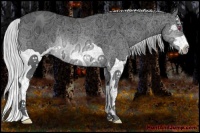 Horse Color:Silver Brown Chinchilla Ice Splash Rabicano