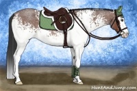 Horse Color:White Spotted Bay Roan Splash 