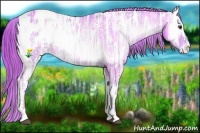 Horse Color:Watercolor Red Onyx Ice Appaloosa 