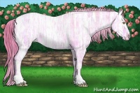 Horse Color:Watercolor Chestnut Ice Varnish 