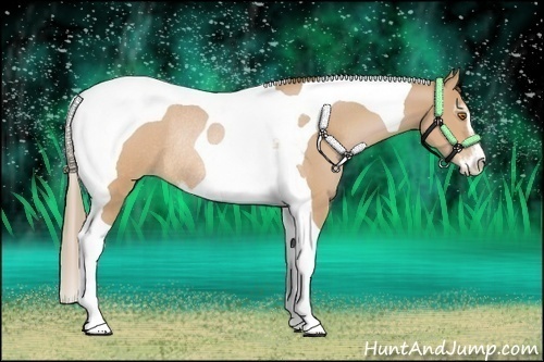 Horse Color:Brown Pearl Sabino Tobiano Rabicano