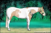 Horse Color:Brown Pearl Sabino Tobiano Rabicano 