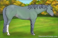 Horse Color:Watercolor Brown 