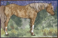 Horse Color:Chocolate Palomino Dun Rabicano  and Chocolate Palomino 