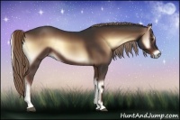 Horse Color:Liver Red Onyx Rabicano 