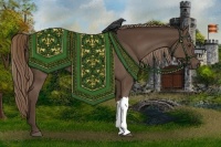 Horse Color:Liver Chestnut Rabicano