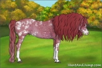 Horse Color:Watercolor Liver Chestnut Sabino 