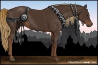 Horse Color:Liver Chestnut Rabicano 