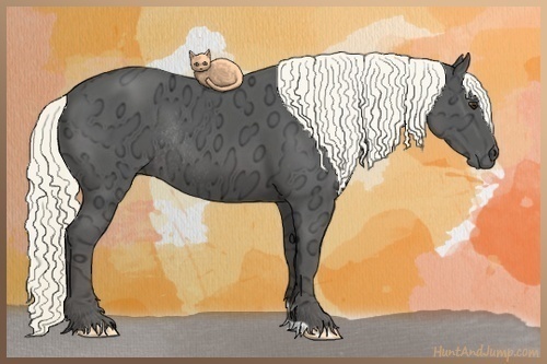 Horse Color:Liver Chestnut Ice Rabicano 