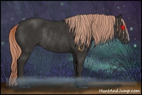 Horse Color:Liver Chestnut Rabicano 