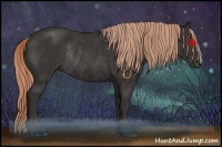 Horse Color:Liver Chestnut Rabicano 