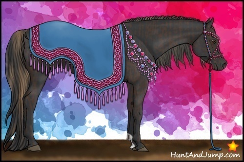 Horse Color:Liver Chestnut  and Black 