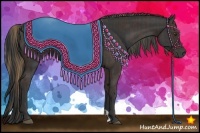 Horse Color:Liver Chestnut  and Black 