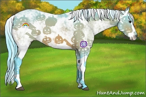 Horse Color:Watercolor Bay Sabino Splash