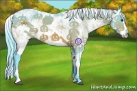 Horse Color:Watercolor Bay Sabino Splash 