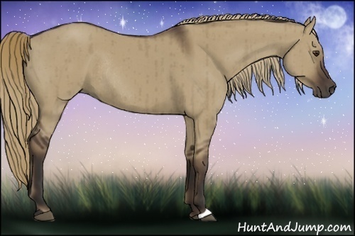 Horse Color:Liver Red Dun Rabicano Brindle