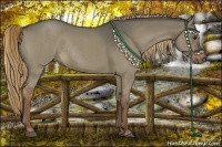 Horse Color:Liver Red Dun Roan Rabicano 