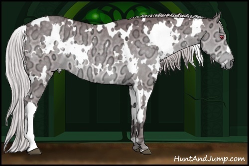 Horse Color:White Spotted Chocolate Silver Grullo Chinchilla Ice 
