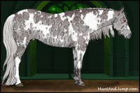 Horse Color:White Spotted Chocolate Silver Grullo Chinchilla Ice 