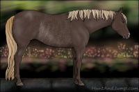 Horse Color:Liver Chestnut Rabicano 