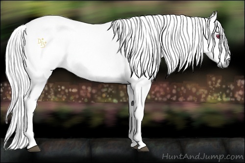 Horse Color:Liver Chestnut Chinchilla Rabicano 